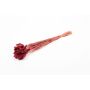 Dried grass Phalaris BRAGILA, bunch, burgundy red, 20"-30"/50-75cm, Ø4.7"/12cm