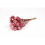 Dried bunch of Italian strawflowers BIBIANA, pink, 12"-16"/30-40cm, Ø6"/15cm
