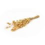 Dried grass BORKA, Lagurus bunch, natural, 22"-30"/55-75cm, Ø4.7"/12cm, 100g