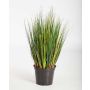 Decorative Foxtail grass FELIX, green, 24"/60cm