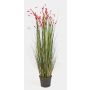 Decorative Bellflower JULIA, red, 4ft/120cm