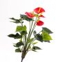 Plastic flower Anthurium LORIE on spike, red, 22"/55cm, 2.4"x3.1"/6x8cm