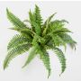 Artificial Boston fern SAMUEL, spike, green, 16"/40cm, Ø 20"/50cm