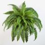 Artificial Boston fern SAMUEL, spike, green, 24"/60cm, Ø 3ft/90cm
