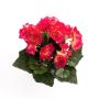 Silk flower begonia IVANA on spike, pink, 8"/20cm, Ø 1.2"-2"/3-5cm