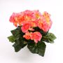 Silk flower begonia IVANA on spike, pink, 8"/20cm, Ø 1.2"-2"/3-5cm