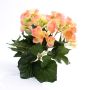 Silk flower begonia IVANA on spike, peach, 8"/20cm, Ø 1.2"-2"/3-5cm