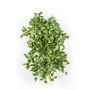 Fake plant pothos RAHU on spike, 22"/55cm