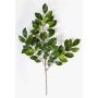 Artificial Ficus Benjamini branch AJITH, green, 18"/45cm