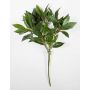 Artificial cherry laurel branch KAMIRAN, 18"/45cm