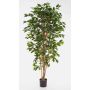 Decorative Ficus Benjamini AVELLINO, real trunks, green, 4ft/120cm