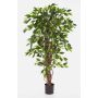 Decorative Ficus Benjamini JARLAN, real stems, green, 4ft/120cm