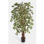 Decorative Ficus Benjamini JARLAN, real stems, green-white, 4ft/120cm