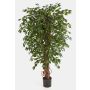 Fake plant Ficus Benjamini DAKU, natural trunks, green, 4ft/120cm
