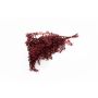 Dry branches Ruscus AGNIATA, burgundy red, 28"-30"/70-75cm, Ø7"/17cm