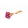 Dried Mediterranean strawflower AKALITI, bouquet, purple-yellow, 16"-22"/40-55cm, Ø4.3"/11cm