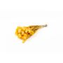 Dried bunch of Italian strawflowers BIBIANA, orange, 12"-16"/30-40cm, Ø6"/15cm