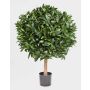 Decorative Cherry Laurel Tree TIBERIUS, natural trunk, fruits, 3ft/100cm, Ø 31"/80cm
