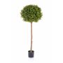 Plastic boxwood TOM, natural trunk, 5ft/140cm, Ø20"/50cm