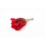 Dried bunch of Italian strawflowers BIBIANA, red, 12"-16"/30-40cm, Ø6"/15cm