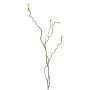 Decorative twig, corkscrew willow PENGXI, green, 115 cm