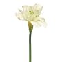 HEJIA decorative amaryllis, cream, 60cm