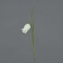 Artificial Bellflower LUXING, white, 40cm, Ø3cm