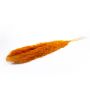 Dried pampas grass ANIAMI, orange, 4ft-5ft/130-140cm, Ø8"/20cm