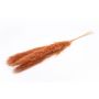 Dried pampas grass ANIAMI, terracotta, 4ft-5ft/130-140cm, Ø8"/20cm