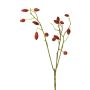 Decorative wild rose branch XINGRUI with rose hips, red, 18"/45cm