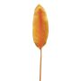 Plastic strelitzia leaves YISHAO, orange-pink, 90 cm