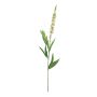 KECAI decorative speedwell, white, 75cm