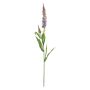 KECAI decorative speedwell, purple, 75cm