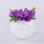 Velvet gerbera IMINA in a ceramic pot, purple, 12cm, Ø15cm