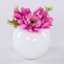 Velvet gerbera ‘IMINA’ in a ceramic pot, pink-purple, 12cm, Ø15cm