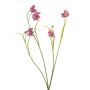 Artificial PITARA checkerboard flower branch, pink -white, 50cm