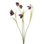 Artificial Daffodil Branch PITARA, dark purple-pink, 50cm