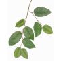Decorative apple tree branch KONSTANTIN, green, 30"/75cm