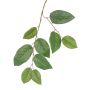 Artificial apple tree branch KONSTANTIN, green, 75cm