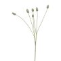 Decorative thistle branch SUANYI, green, 65cm