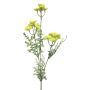 Decorative Yarrow Branch YISUAN, yellow, 50cm, Ø6cm