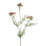 Decorative Yarrow Branch YISUAN, pink, 50cm, Ø6cm