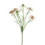 Decorative black cumin branch TIANKE, pink-cream, 65 cm, Ø 7–8 cm