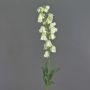 Decorative Bellflower LINMIN, cream, 95cm, Ø3–5cm