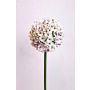 Artificial allium LOKJAN, white and purple, 70cm