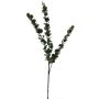 Artificial eucalyptus branch XIJIAN, green, 75cm