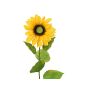 Plastic sunflower DORINA, yellow, 28"/70cm, Ø 4.7"/12cm