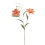 Decorative tiger lily DUNKA, salmon, 28"/70cm