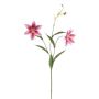 Decorative tiger lily DUNKA, pink-fuchsia, 28"/70cm