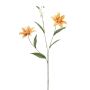 Decorative tiger lily DUNKA, yellow, 28"/70cm